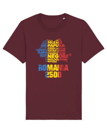 Pentru montaniarzi - Romania 2500 - 13 Varfuri cucerite II Burgundy