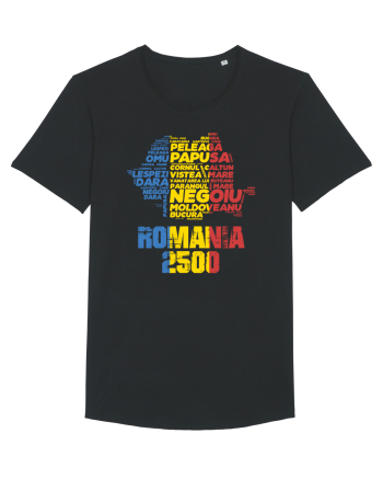 Pentru montaniarzi - Romania 2500 - 13 Varfuri cucerite II Black