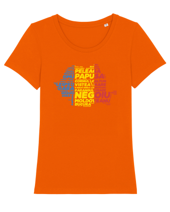 Pentru montaniarzi - Romania 2500 - 13 Varfuri cucerite Bright Orange