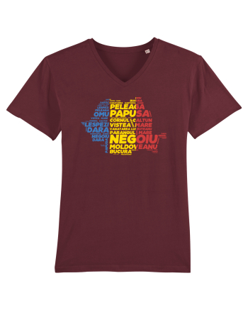 Pentru montaniarzi - Romania 2500 - 13 Varfuri cucerite Burgundy