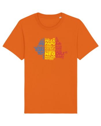 Pentru montaniarzi - Romania 2500 - 13 Varfuri cucerite Bright Orange