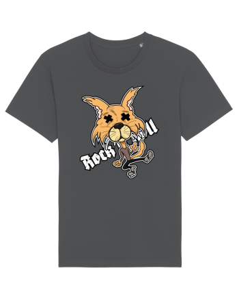 Rock and Roll coyote Anthracite