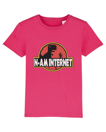 N-am Internet Raspberry