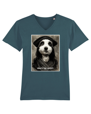 boss dog Stargazer