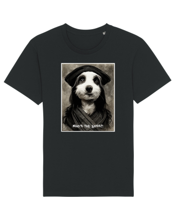 boss dog Black