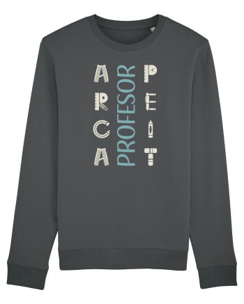 Profesor apreciat Anthracite