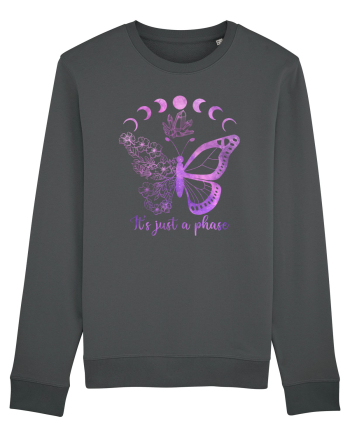 It's Just A Phase Butterfly Anthracite