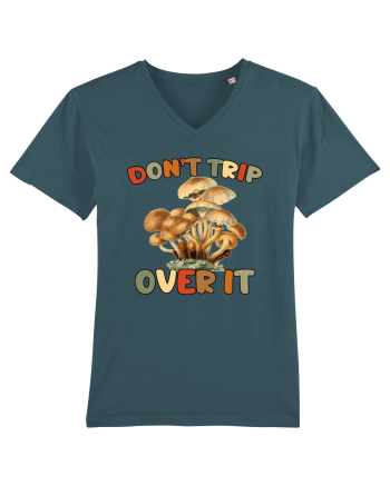 Don't Trip Over It Stargazer