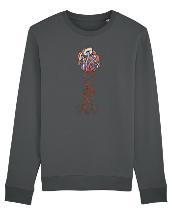 Mushroom DNA Mycology Shroom Trippy Anthracite