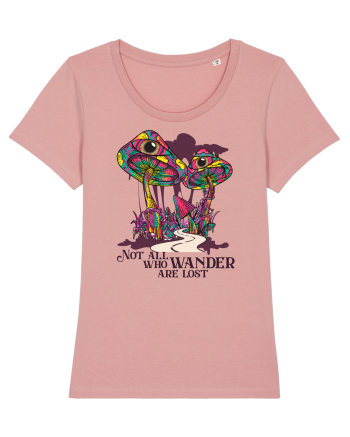 Not All Who Wander Are Lost Canyon Pink