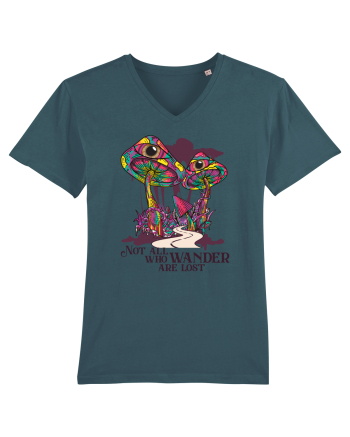 Not All Who Wander Are Lost Stargazer