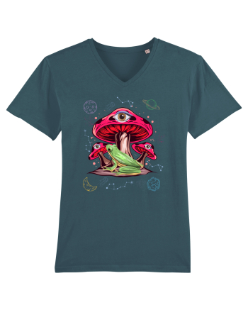 Frog Mushroom Galaxy Psychedelic Stargazer