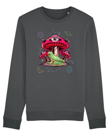  Frog Mushroom Galaxy Psychedelic Anthracite