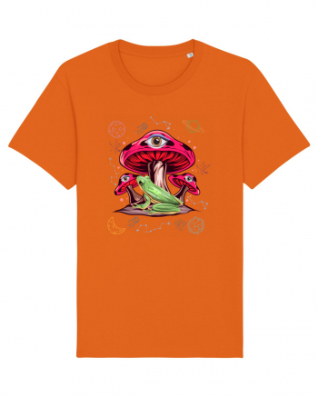  Frog Mushroom Galaxy Psychedelic Bright Orange