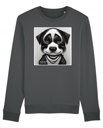 cute dog Anthracite