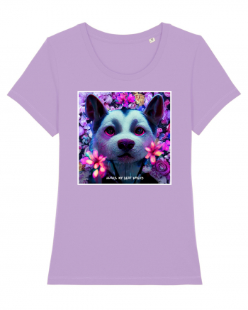 husky little dog Lavender Dawn