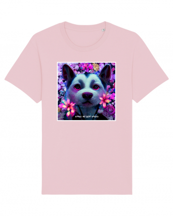 husky little dog Cotton Pink