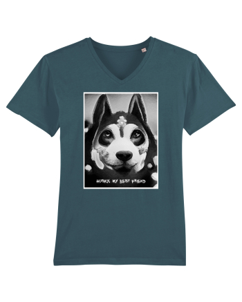 husky black and white Stargazer