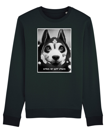 husky black and white Black
