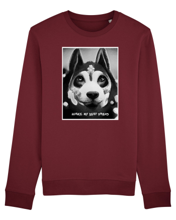 husky black and white Burgundy