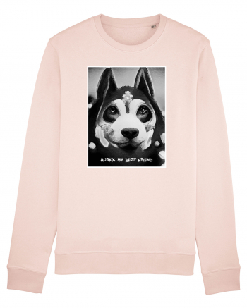 husky black and white Candy Pink