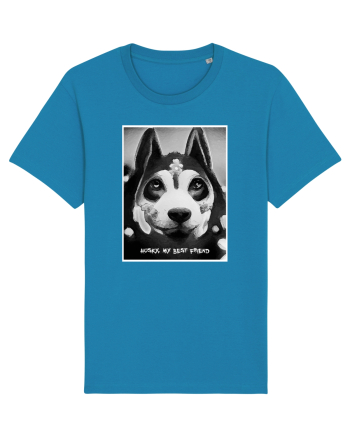 husky black and white Azur