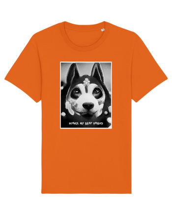 husky black and white Bright Orange