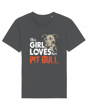 PIT BULL Anthracite