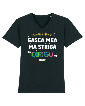 Gașca mea mă strigă 