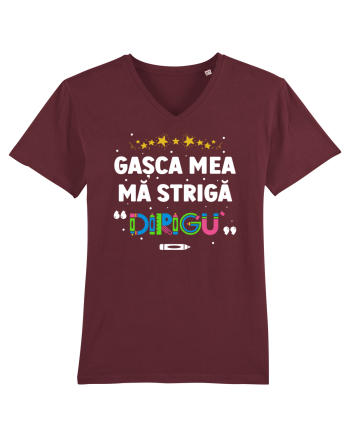 Gașca mea mă strigă 
