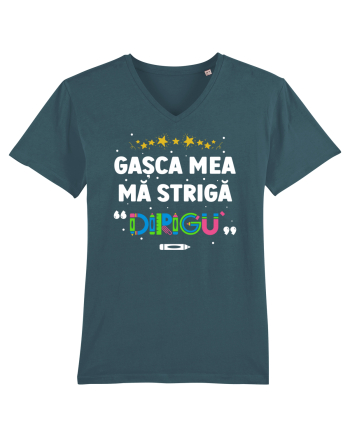 Gașca mea mă strigă 