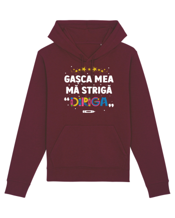 Gașca mea mă strigă 
