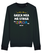 Gașca mea mă strigă 