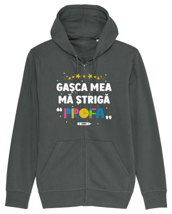 Gașca mea mă strigă  Anthracite