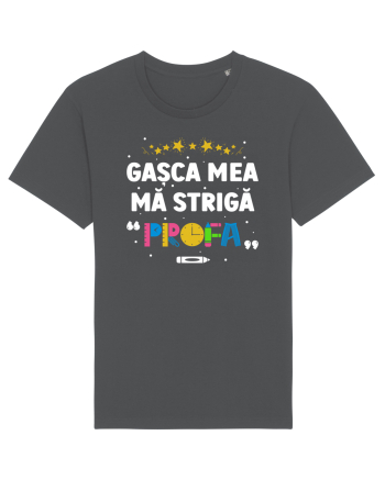 Gașca mea mă strigă  Anthracite