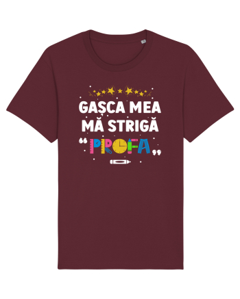 Gașca mea mă strigă  Burgundy