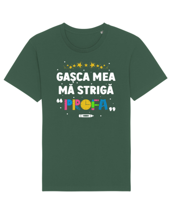 Gașca mea mă strigă  Bottle Green