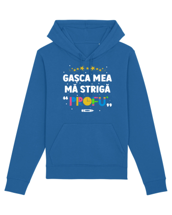 Gașca mea mă strigă 