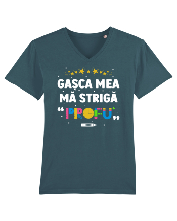 Gașca mea mă strigă 