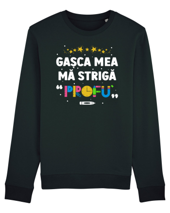 Gașca mea mă strigă 