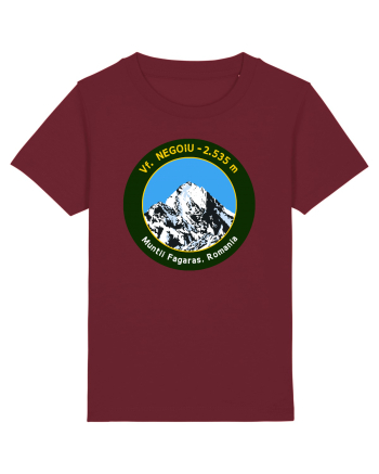 Vf. Negoiu 2535m Burgundy