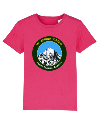 Vf. Negoiu 2535m Raspberry