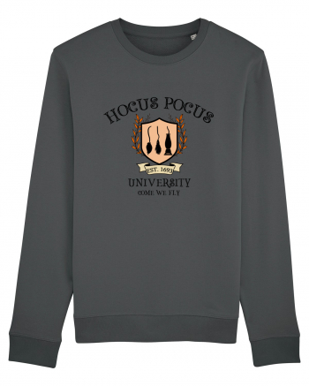 Hocus Pocus University Anthracite