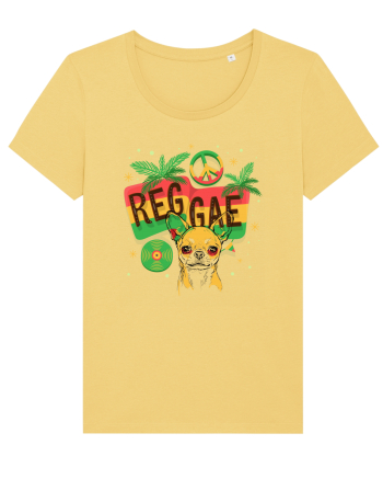 chillin chihuahua Jojoba