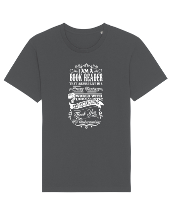 BOOK READER Anthracite