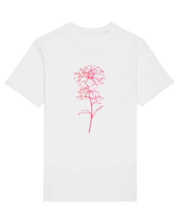 Pink Flower White