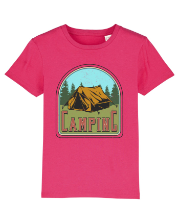 Camping Raspberry
