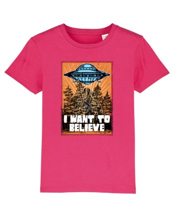 I Want To Believe Ufo Alien Raspberry