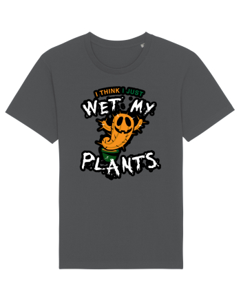 I just wet my plants Halloween  Anthracite
