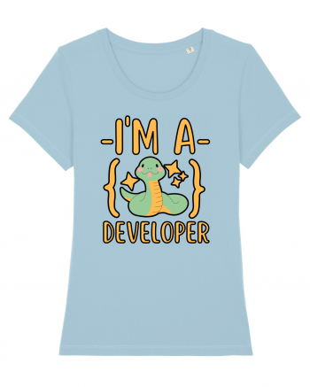 I'm A Python Developer Sky Blue